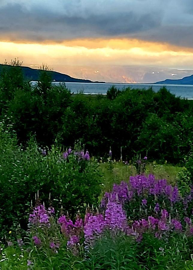 Austertanakrystallen By Pure Lifestyle Arctic Esterno foto