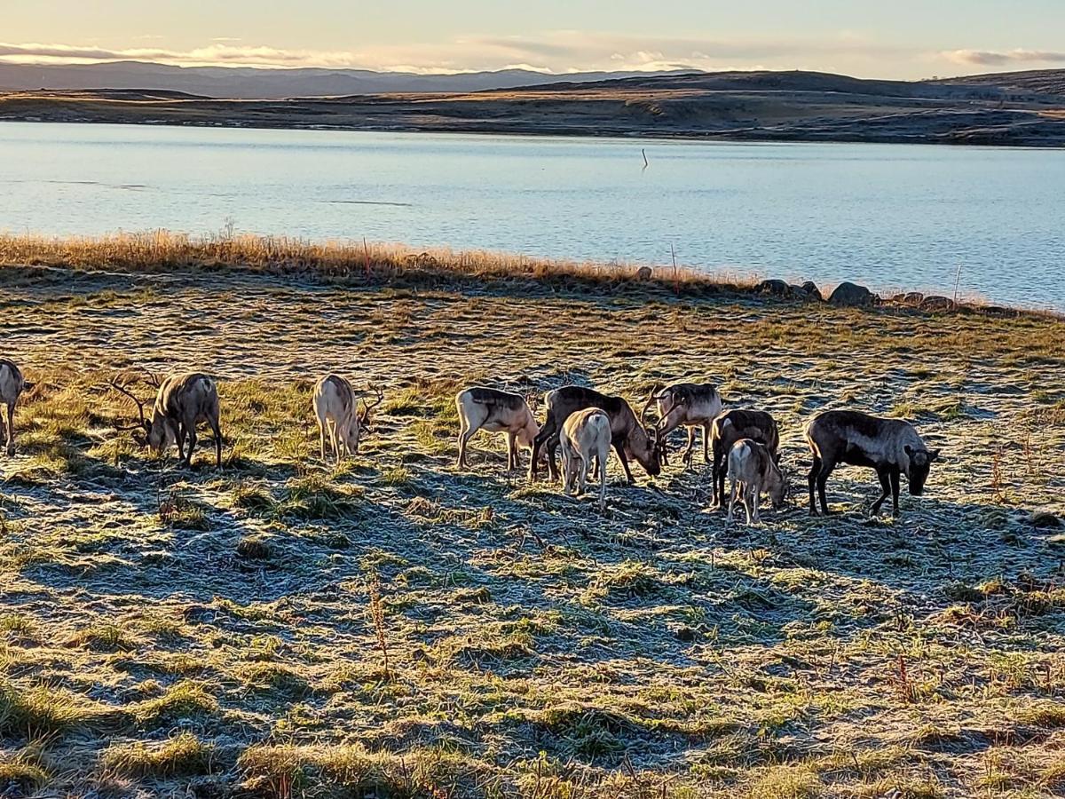 Austertanakrystallen By Pure Lifestyle Arctic Esterno foto